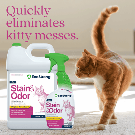 Cat Stain and Odor Eliminator - Magnadyne