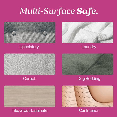Cat Stain and Odor Eliminator - Magnadyne
