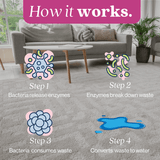 Cat Stain and Odor Eliminator - Magnadyne