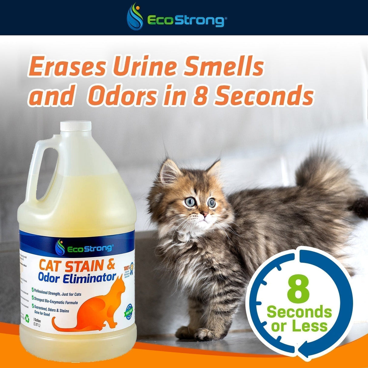 Cat Stain and Odor Eliminator - Magnadyne