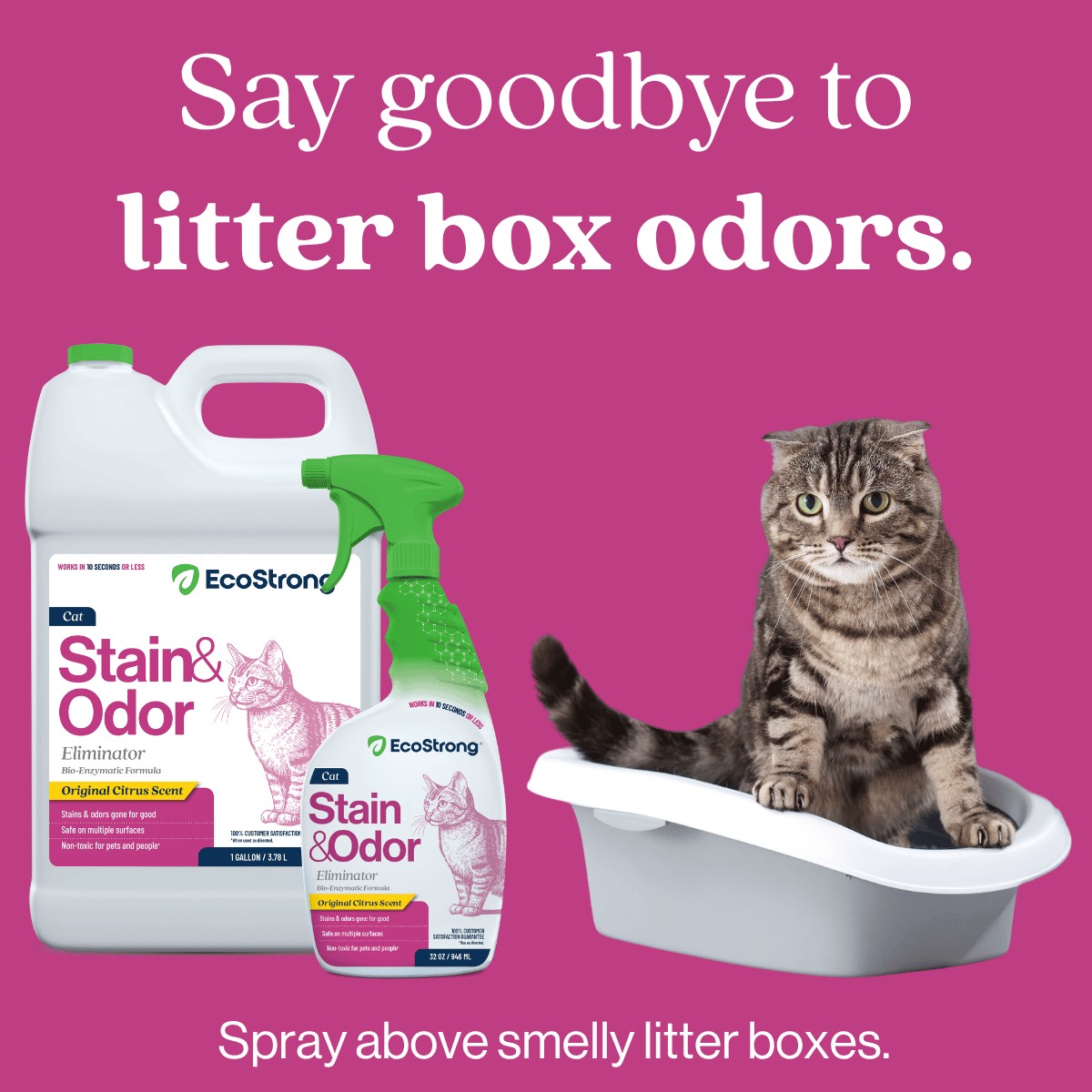 Cat Stain and Odor Eliminator - Magnadyne