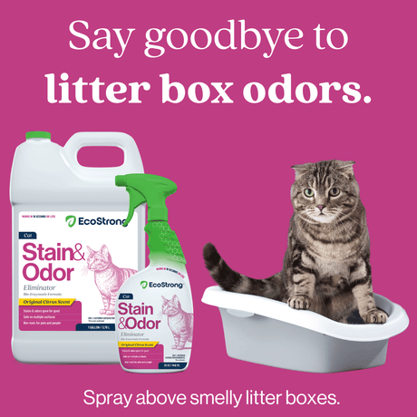 Cat Stain and Odor Eliminator - Magnadyne