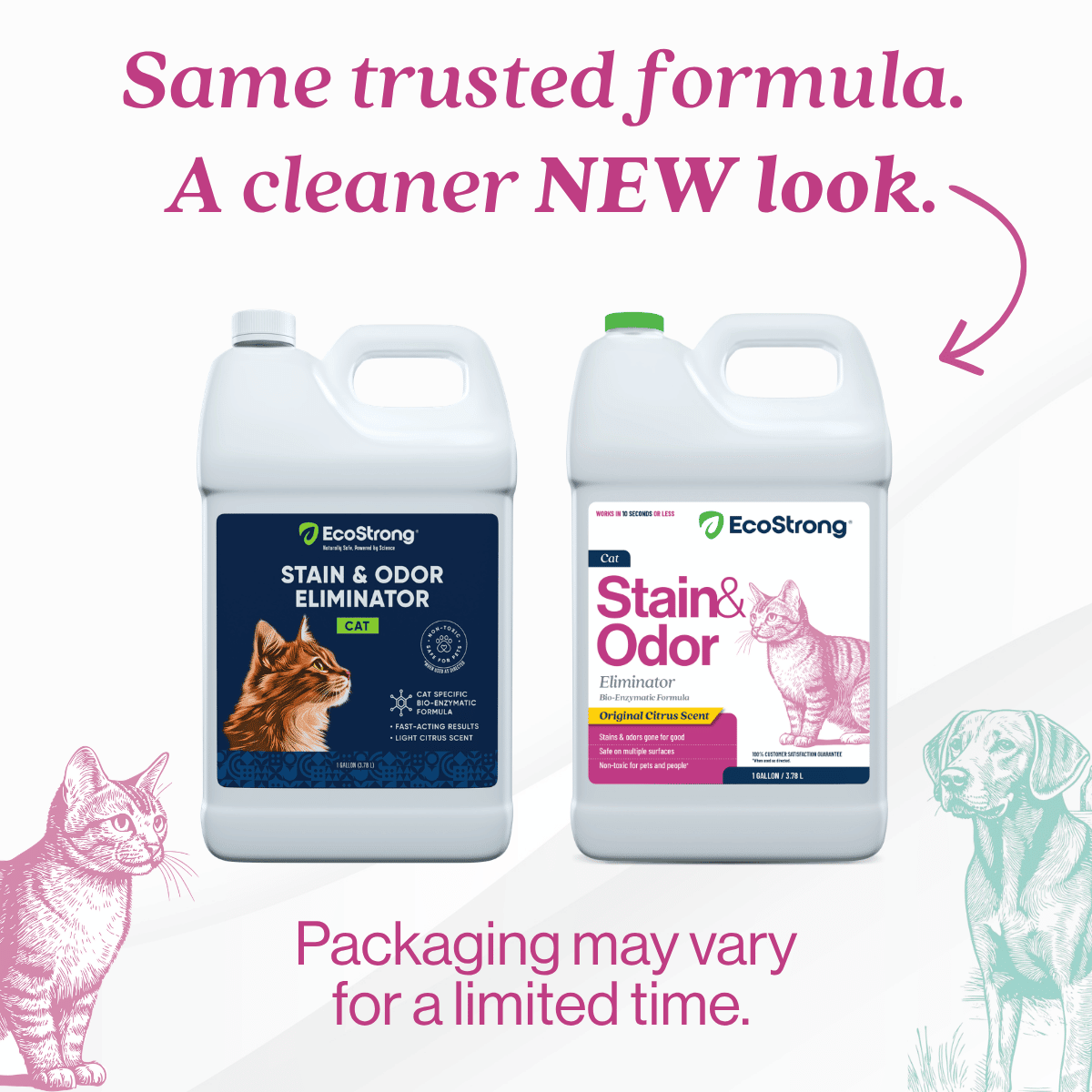 Cat Stain and Odor Eliminator - Magnadyne