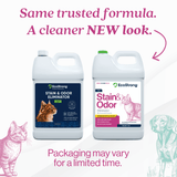Cat Stain and Odor Eliminator - Magnadyne