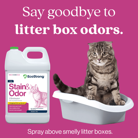 Cat Stain and Odor Eliminator - Magnadyne