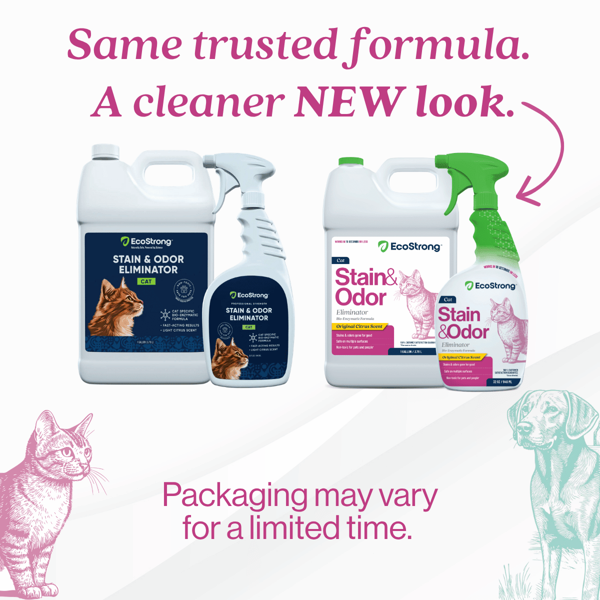 Cat Stain and Odor Eliminator - Magnadyne