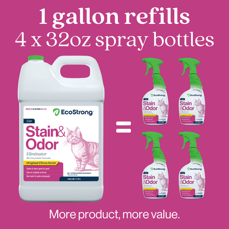 Cat Stain and Odor Eliminator - Magnadyne