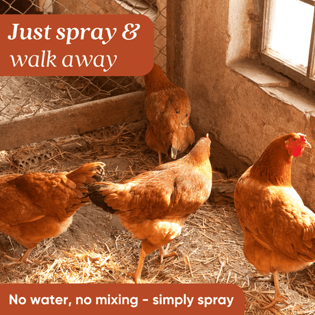 Chicken Coop Odor Eliminator - Magnadyne
