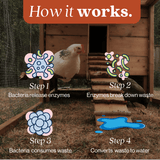 Chicken Coop Odor Eliminator - Magnadyne