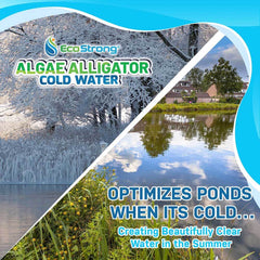Cold Water Algae Alligator - Magnadyne