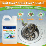 Drain and Fruit Fly Eliminator - Magnadyne