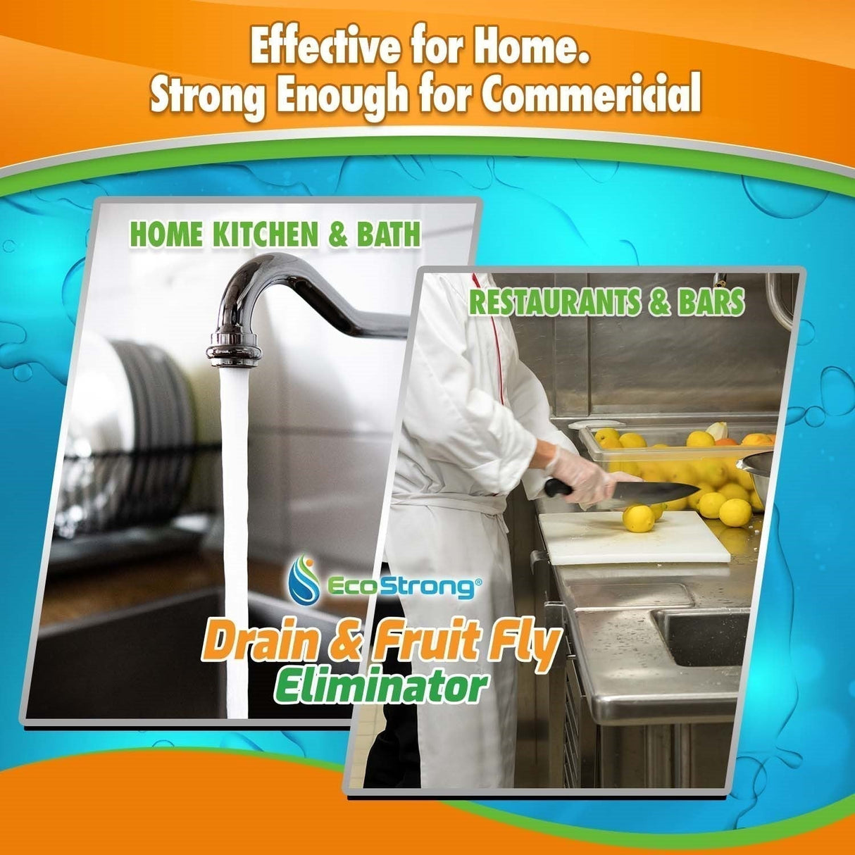 Drain and Fruit Fly Eliminator - Magnadyne