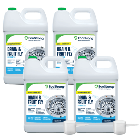 Drain and Fruit Fly Eliminator - Magnadyne