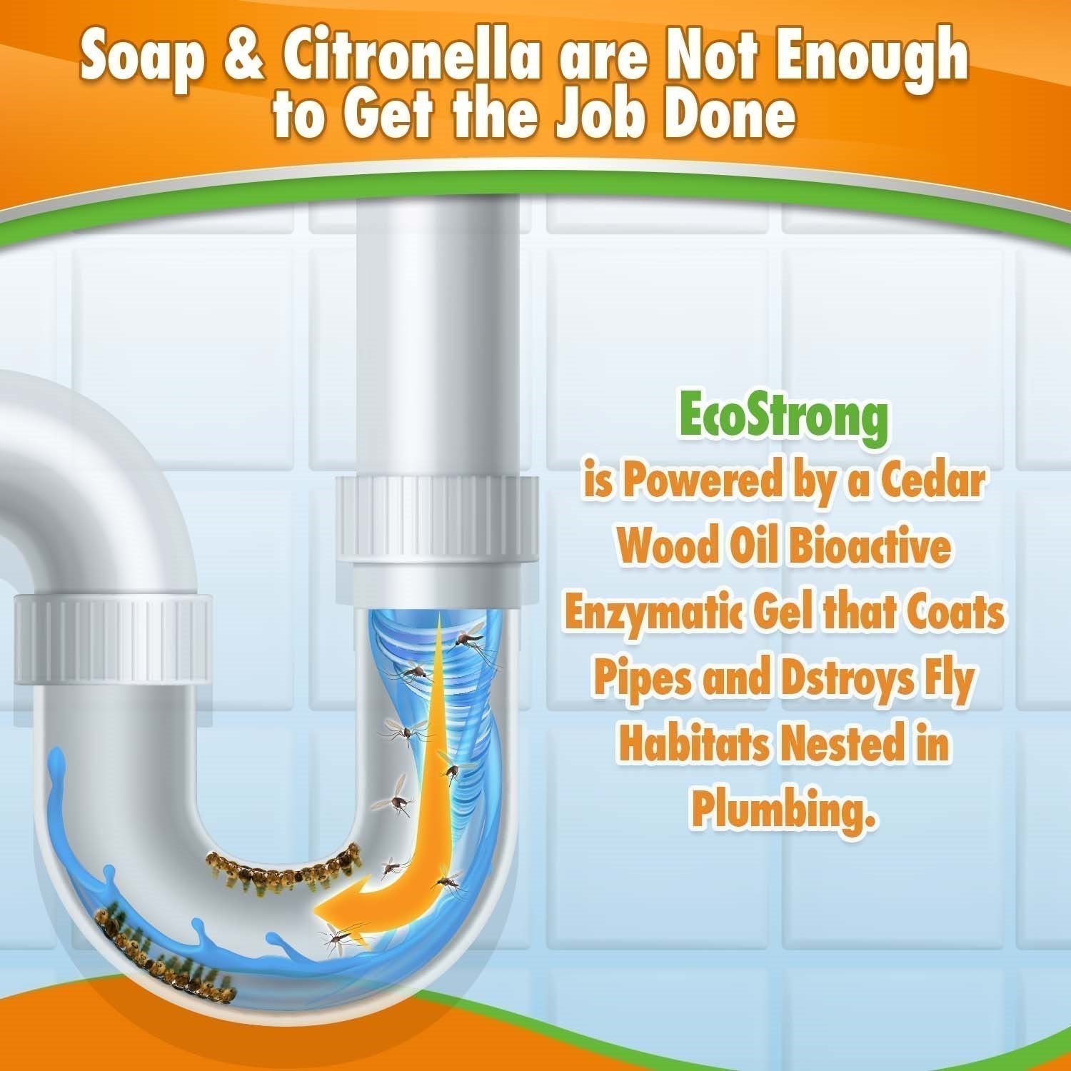 Drain and Fruit Fly Eliminator