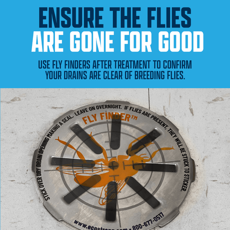 Drain and Fruit Fly Eliminator - Magnadyne