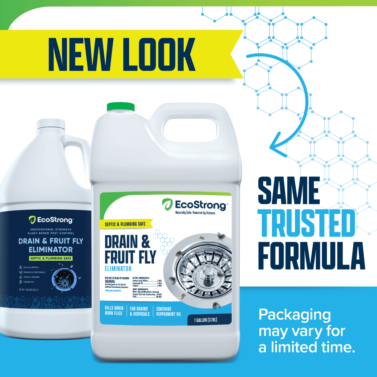 Drain and Fruit Fly Eliminator - Magnadyne