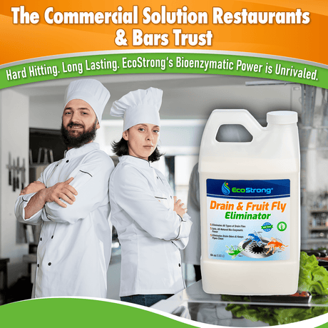 Drain and Fruit Fly Eliminator - Magnadyne