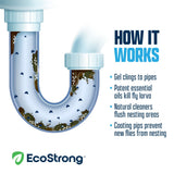Drain and Fruit Fly Eliminator - Magnadyne