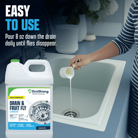 Drain and Fruit Fly Eliminator - Magnadyne