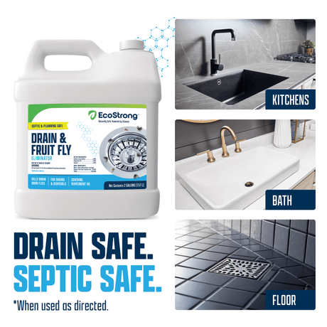 Drain and Fruit Fly Eliminator - Magnadyne