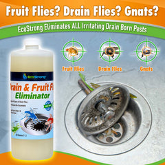 Drain and Fruit Fly Eliminator - Magnadyne