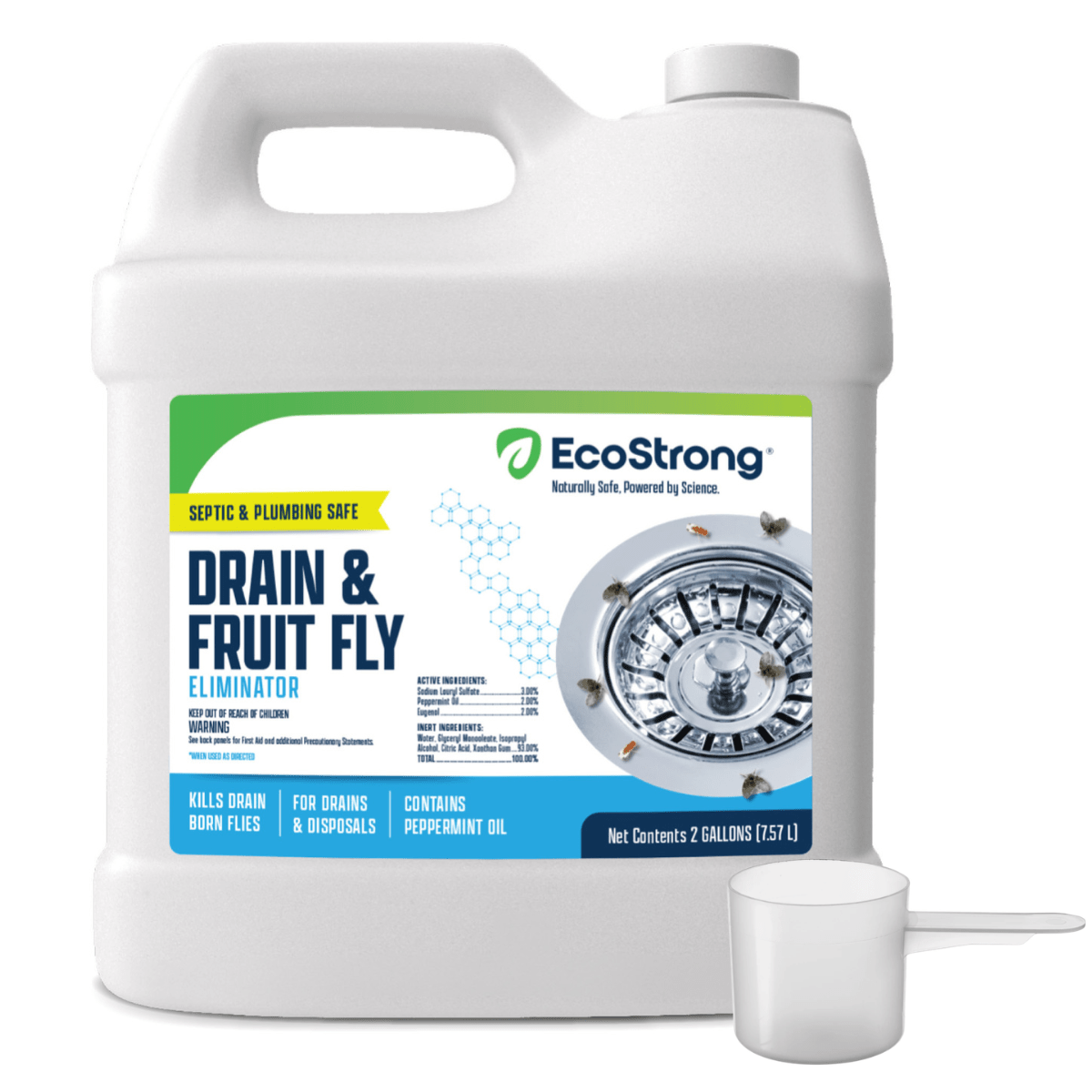 Drain and Fruit Fly Eliminator - Magnadyne
