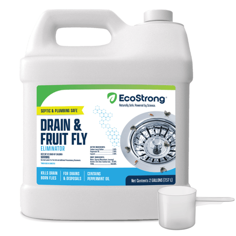 Drain and Fruit Fly Eliminator - Magnadyne