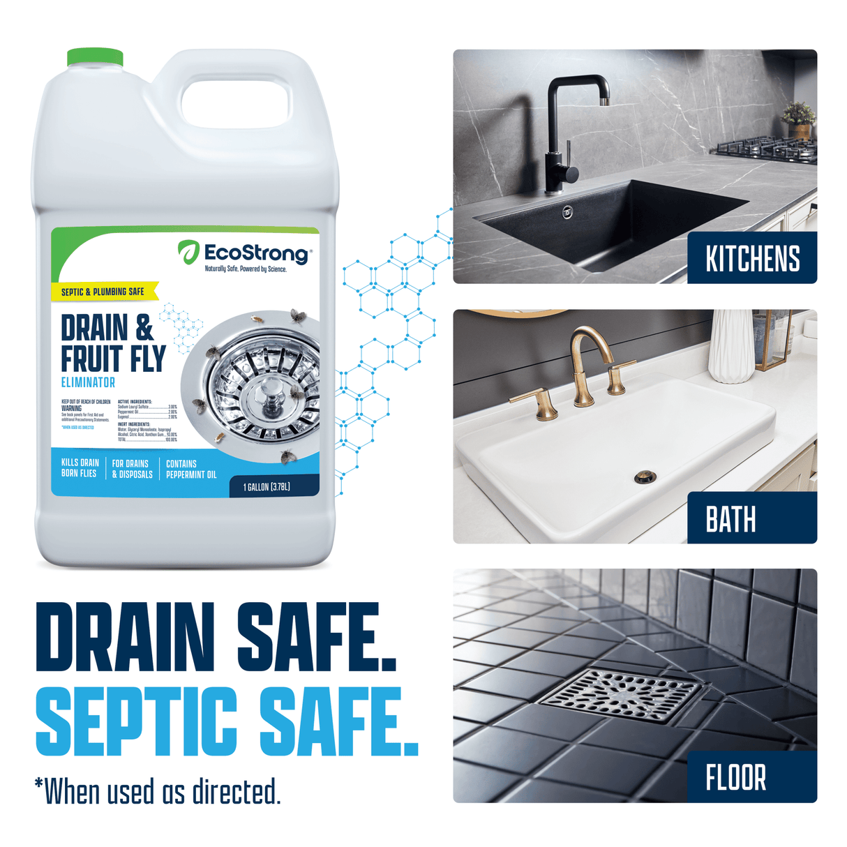 Drain and Fruit Fly Eliminator - Magnadyne