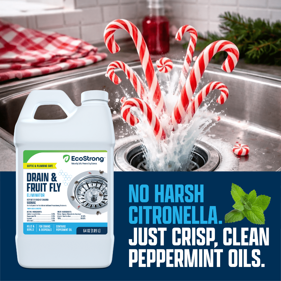 Drain and Fruit Fly Eliminator - Magnadyne