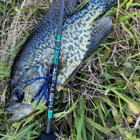 Hunt BFS Fishing Rods - Magnadyne