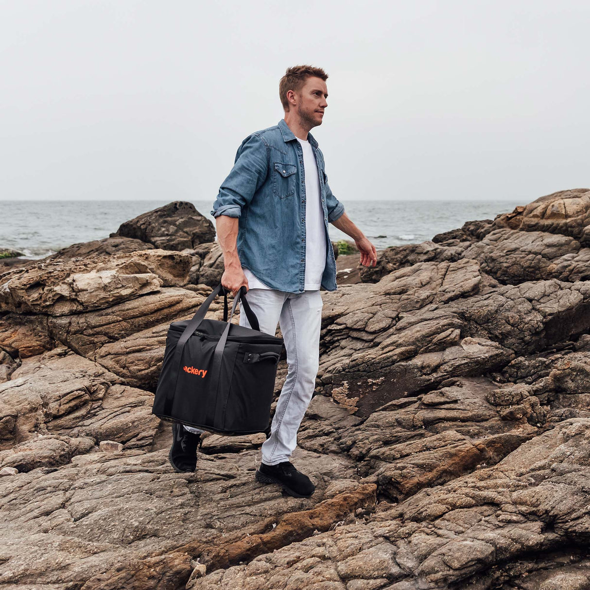 Jackery Upgraded Carrying Case (L) - Magnadyne