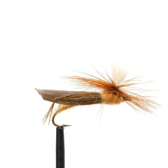 JHFLYCO Loaded Foam Fly Box - Standard Dry Fly - Magnadyne