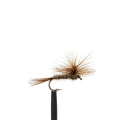 JHFLYCO Loaded Foam Fly Box - Standard Dry Fly - Magnadyne