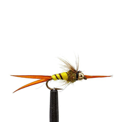 JHFLYCO Loaded Foam Fly Box - Standard Nymph - Magnadyne