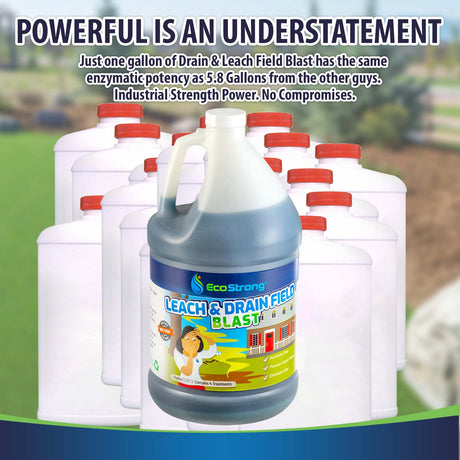 Leach and Drain Field Blast - Magnadyne