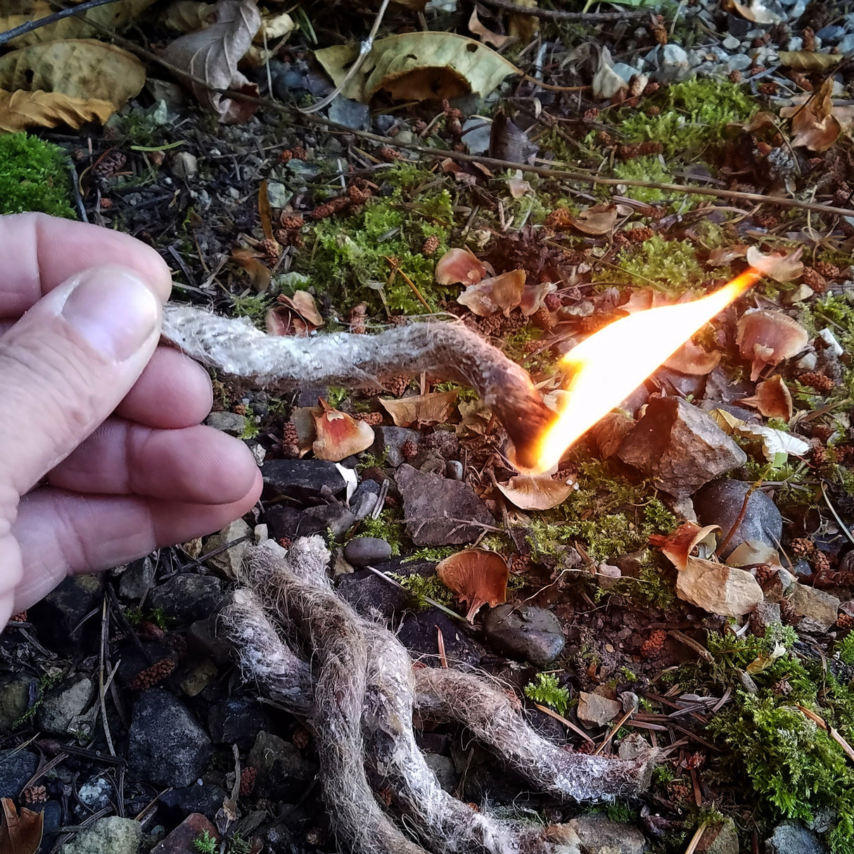 FireRope™ Mini - Firestarting Tinder - 6 pack
