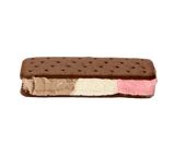 Neapolitan Ice Cream Sandwich - Magnadyne