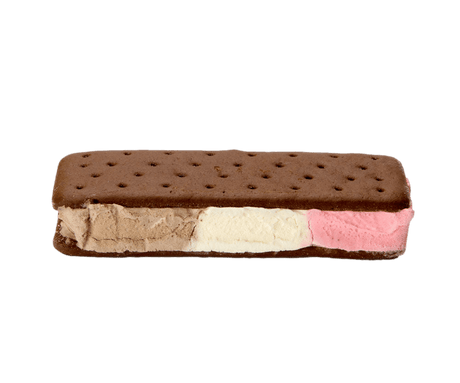 Neapolitan Ice Cream Sandwich - Magnadyne