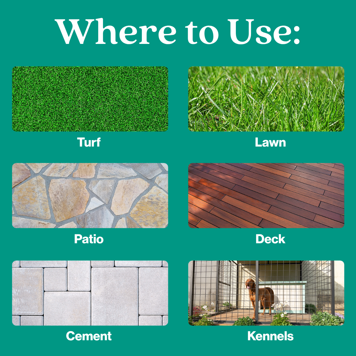 Outdoor Odor Eliminator - Magnadyne