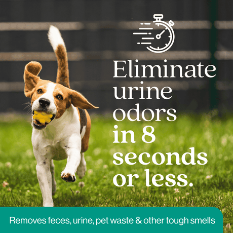 Outdoor Odor Eliminator - Magnadyne
