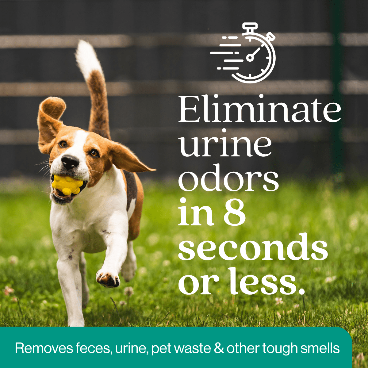 Outdoor Odor Eliminator - Magnadyne