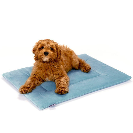 PAWD Crate Pad & Dog bed - Magnadyne