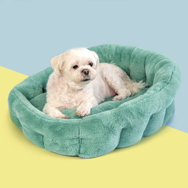 PAWD® Lounger | Pet Crate Calming dog bed - Magnadyne