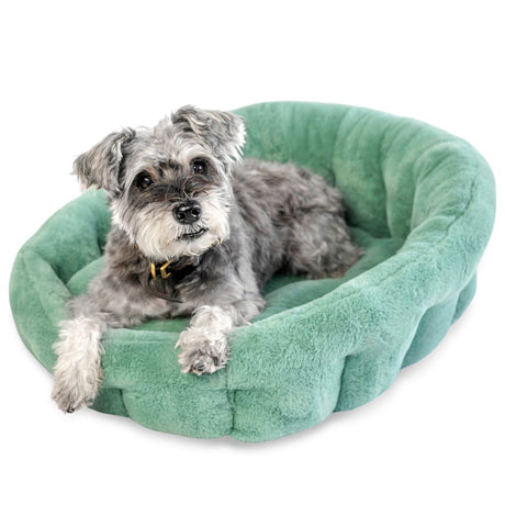 PAWD® Lounger | Pet Crate Calming dog bed - Magnadyne