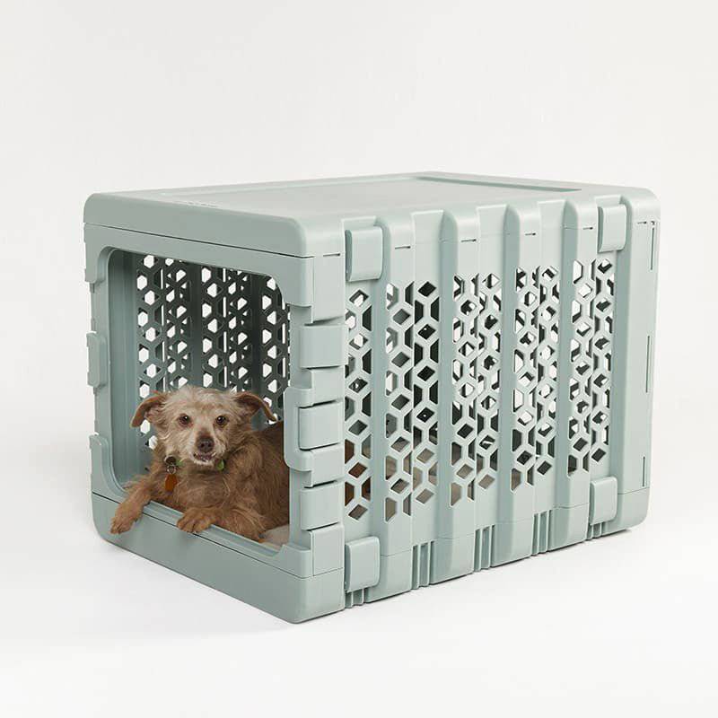 PAWD® | Modern Dog & Pet Crate – Collapsible Crate for Dogs - Magnadyne