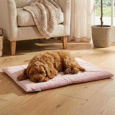 PAWD® Pad | Pet Crate liner bed - Magnadyne