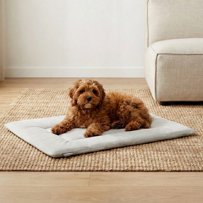 PAWD® Pad | Pet Crate liner bed - Magnadyne