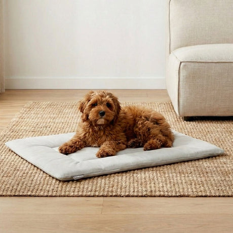 PAWD® Pad | Pet Crate liner bed - Magnadyne