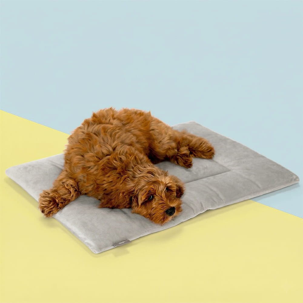 PAWD® Pad | Pet Crate liner bed - Magnadyne
