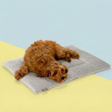 PAWD® Pad | Pet Crate liner bed - Magnadyne